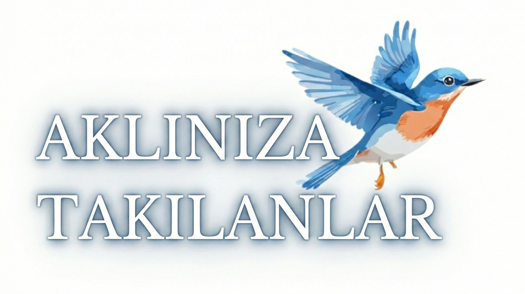 AKLINIZA TAKILANLAR