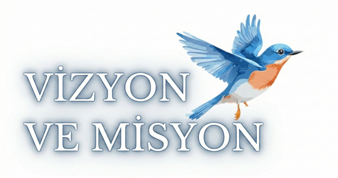 VİZYON VE MİSYON